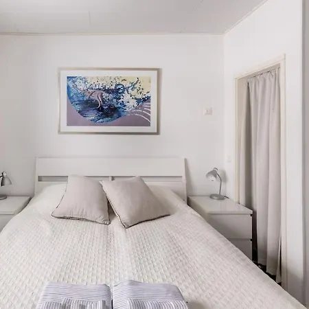 Salmi, Jaemsae, 10 Km Himokselta Willa