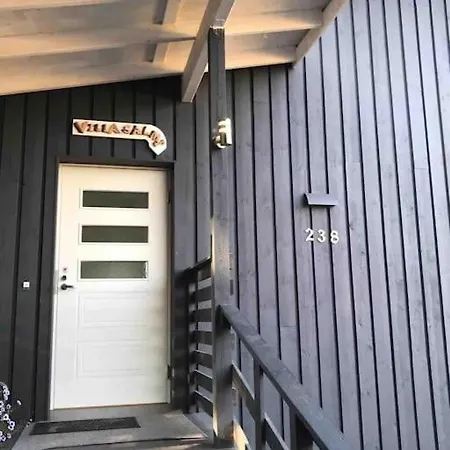 Willa Salmi, Jaemsae, 10 Km Himokselta Kaipola (Western Finland)