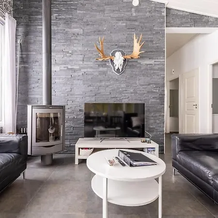 Salmi, Jaemsae, 10 Km Himokselta Villa *