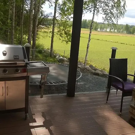 Salmi, Jaemsae, 10 Km Himokselta Villa *